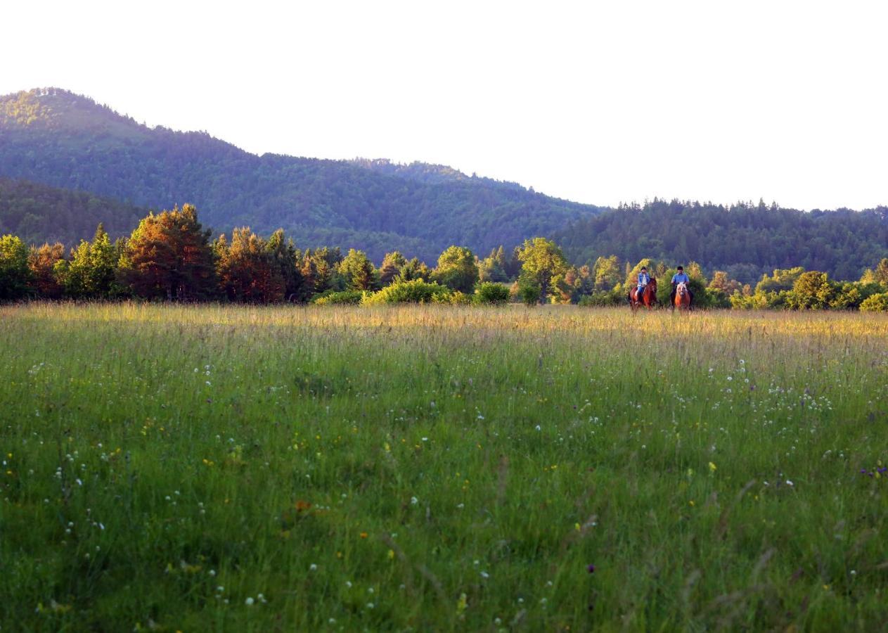 Notranjska Hisa - Traditional Country House, Close To The World Attraction Cerknica Lake Begunje pri Cerknici المظهر الخارجي الصورة