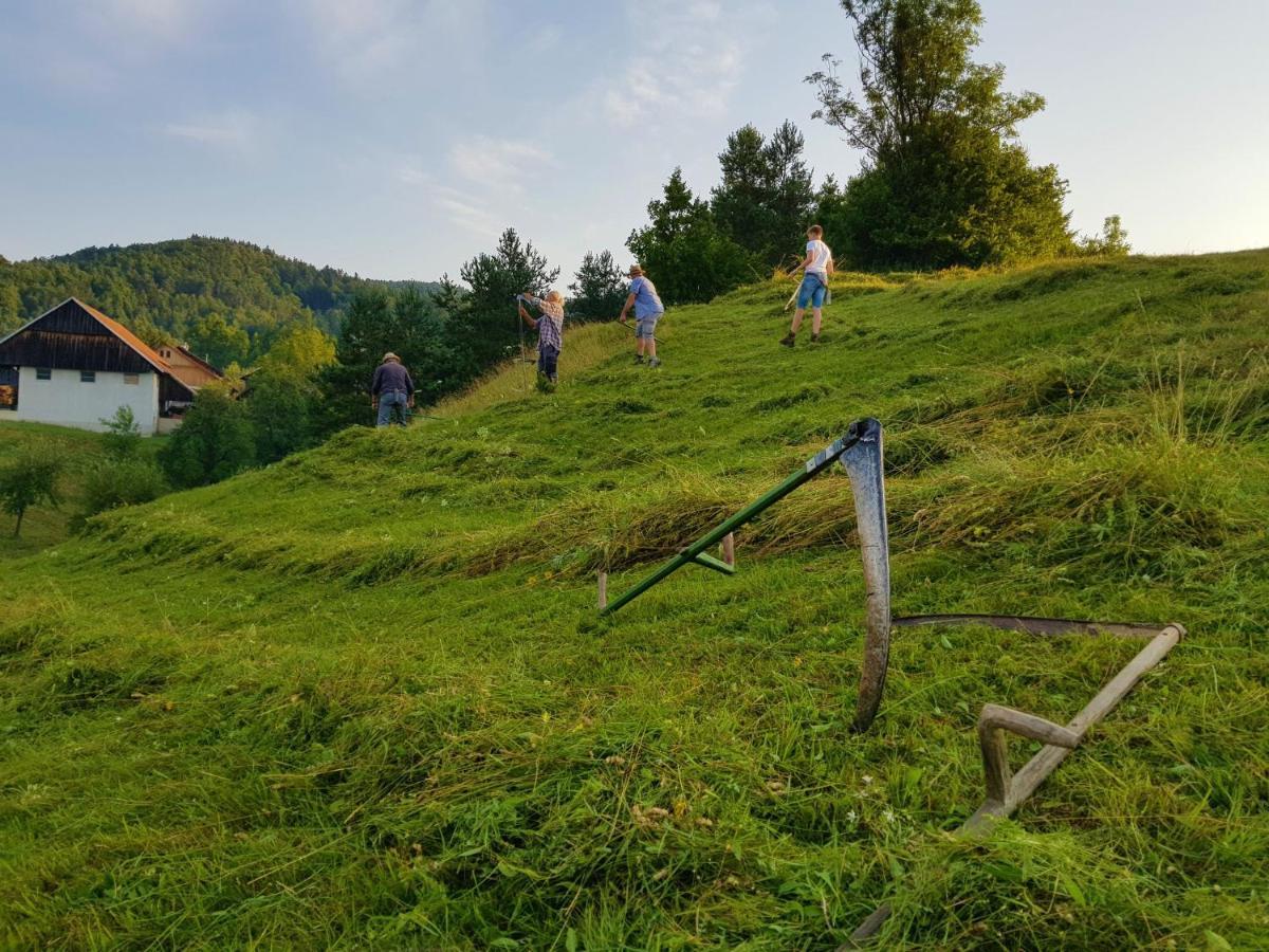 Notranjska Hisa - Traditional Country House, Close To The World Attraction Cerknica Lake Begunje pri Cerknici المظهر الخارجي الصورة