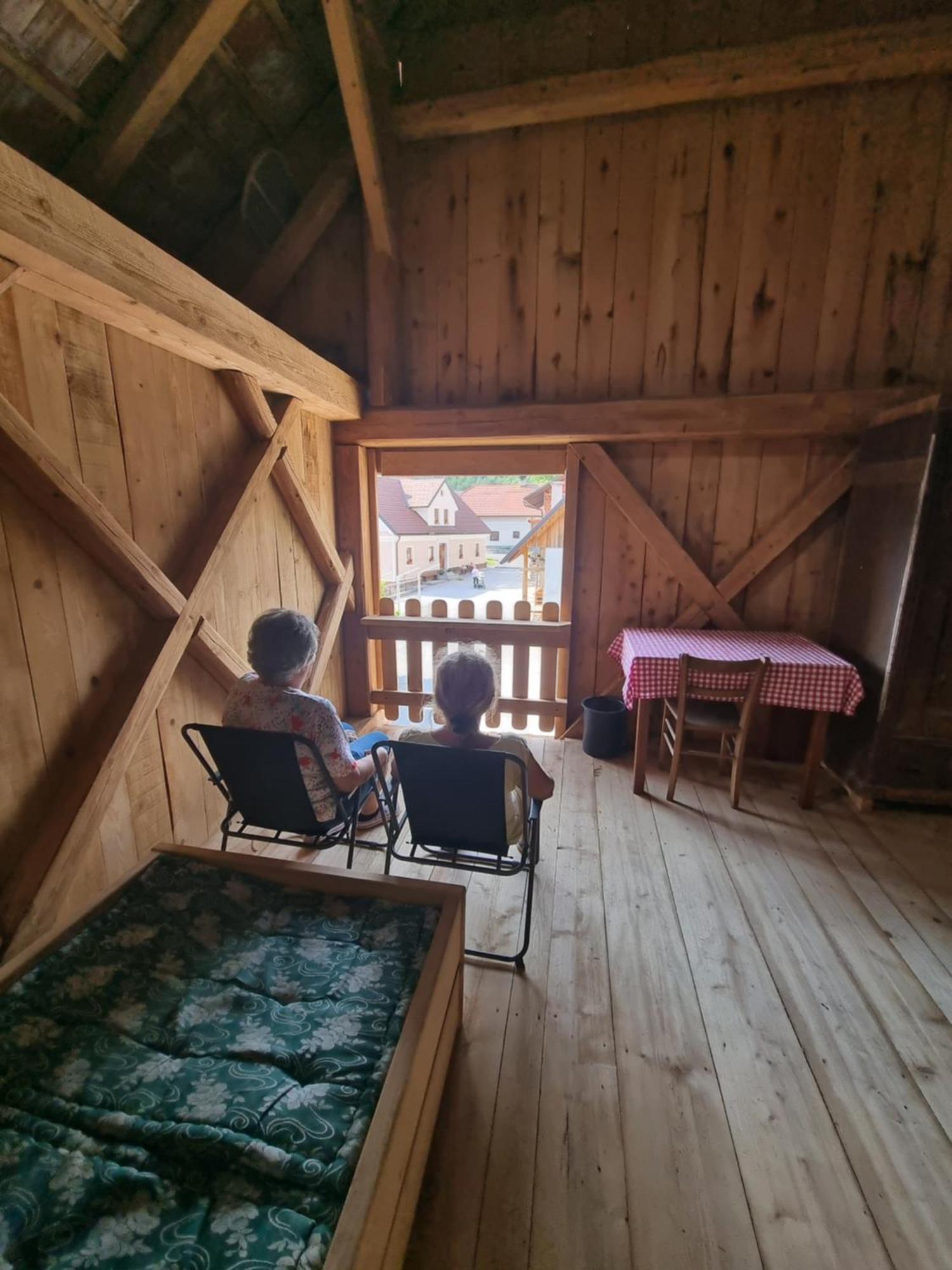 Notranjska Hisa - Traditional Country House, Close To The World Attraction Cerknica Lake Begunje pri Cerknici المظهر الخارجي الصورة